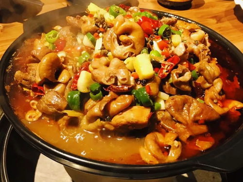 热锅煮一切，一张热锅名单让你吃到春暖花开